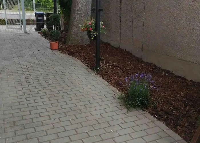 Modern & Comfortable In אלטנבורג